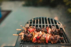 OZPIG Big Pig Ovn/grill -Camp Chef Salgsbutikk DD 6093