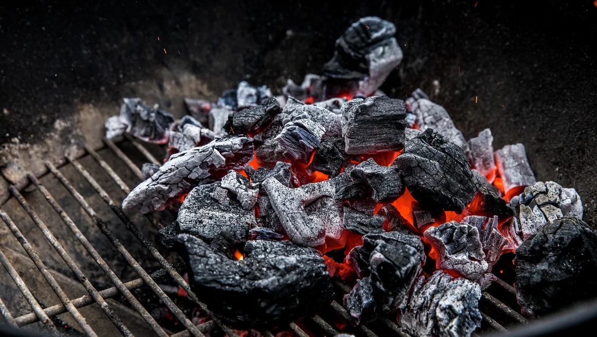 Camp Chef Salgsbutikk -Camp Chef Salgsbutikk grilling 13