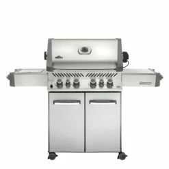 Napoleon P500 Rustfritt Stål